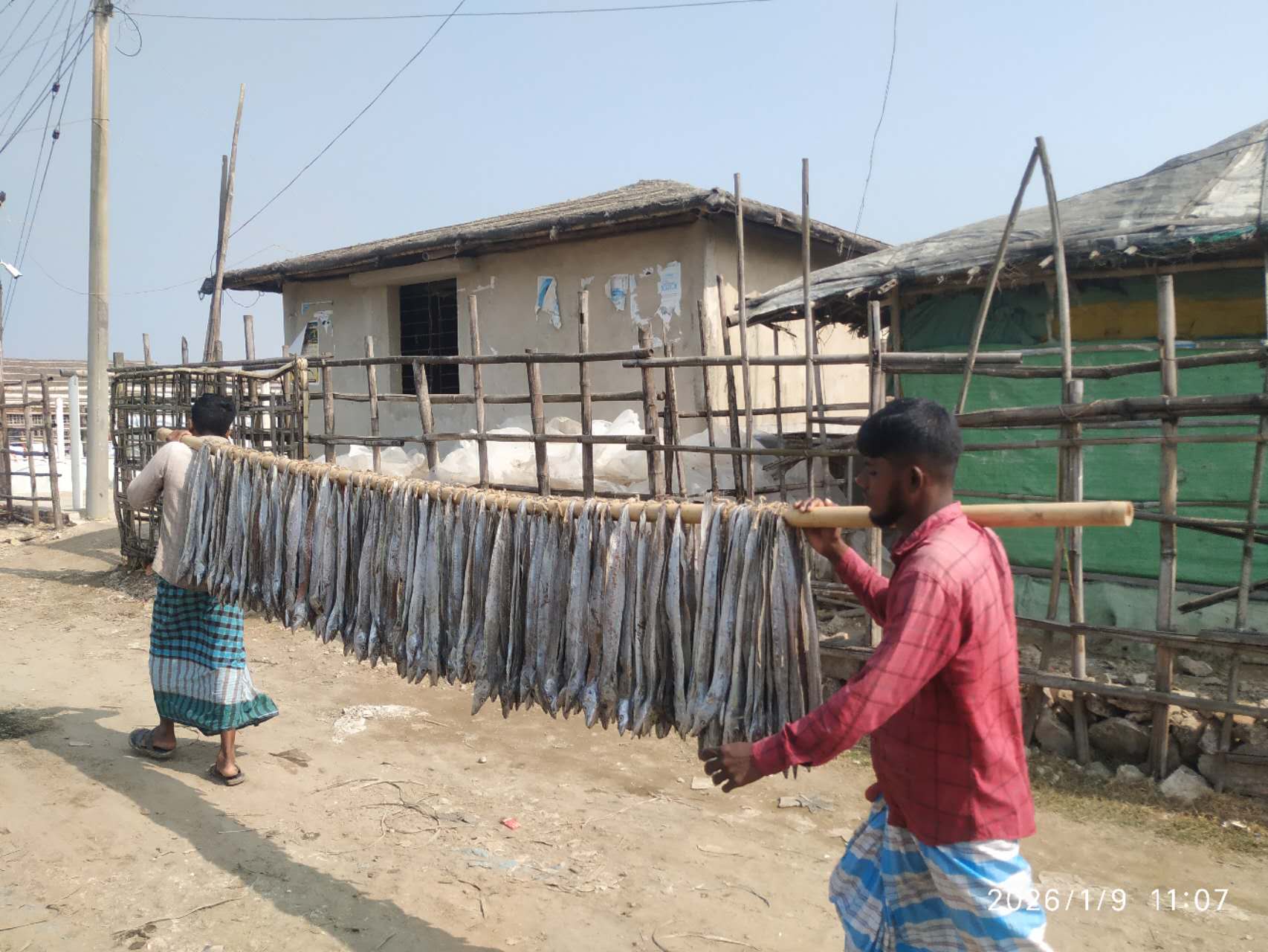 Exploring dry-fish village in Bangladesh tour